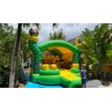 SLIDES